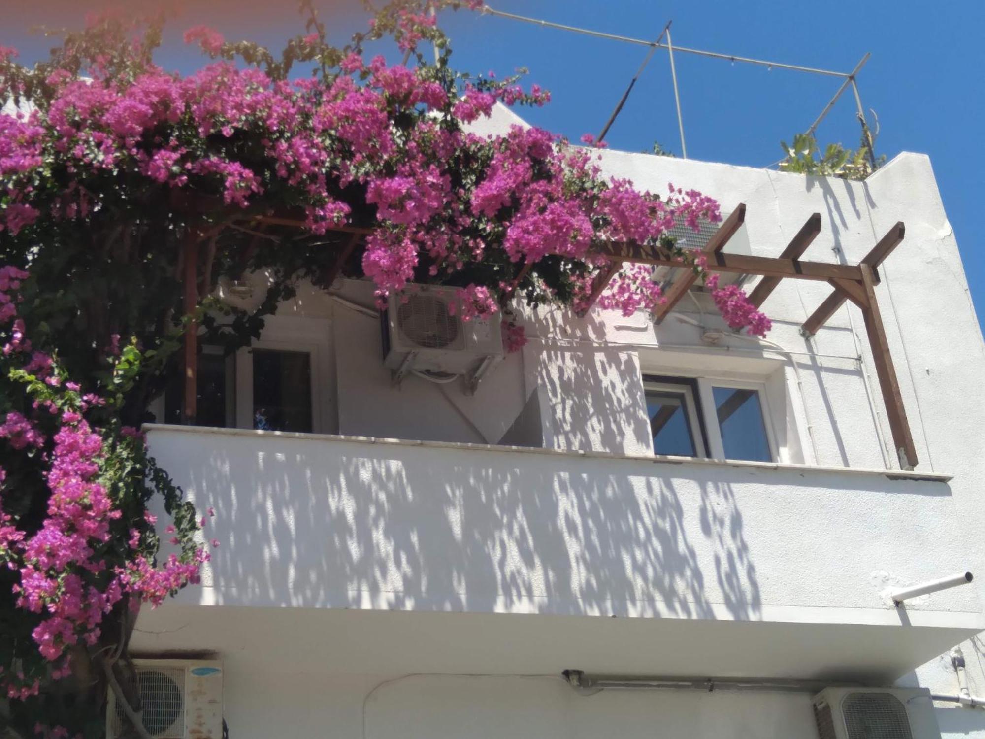 Iokasti Studios Andros Town Exterior photo